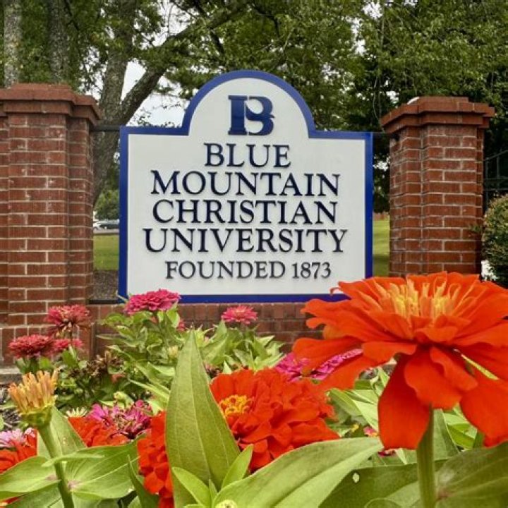 Who founded Blue Mountain?