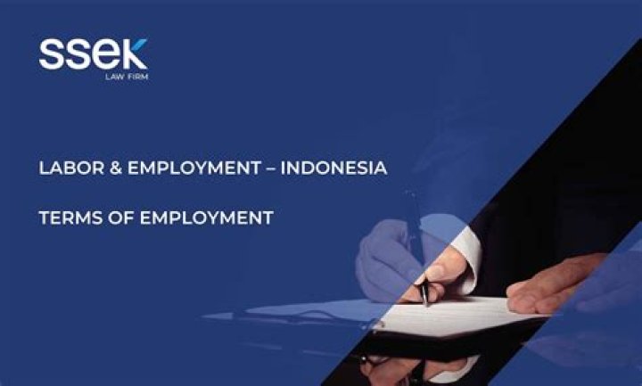 Why are terms and conditions of employment important?