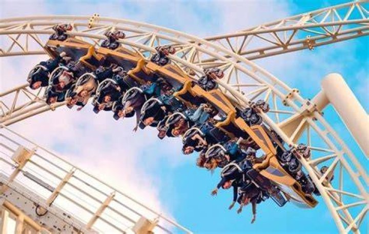 Why do we feel weightless on a roller coaster?